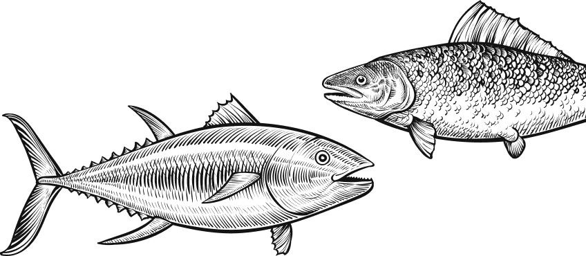 catalog