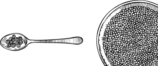 catalog