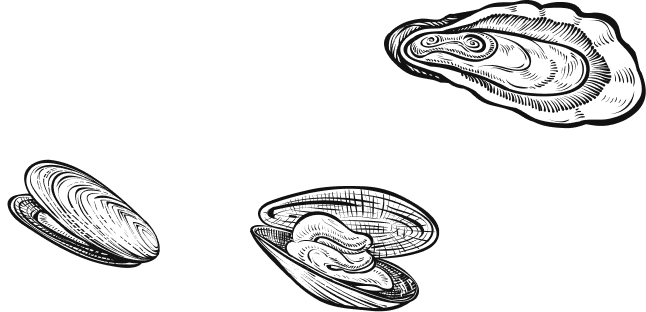 catalog