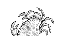 catalog